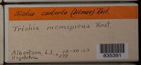 Image Associated With the Occurence